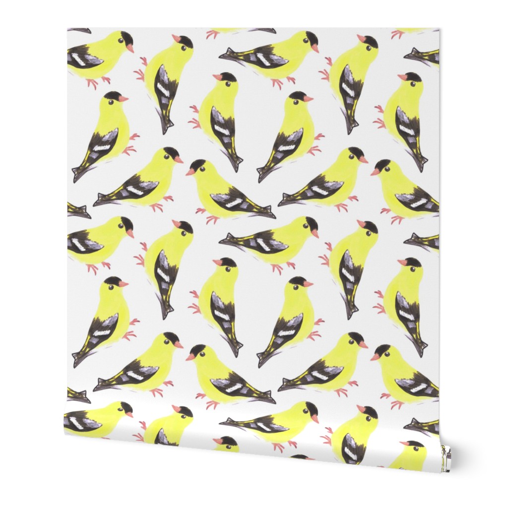 American goldfinch or Spinus tristis bird seamless watercolor birds painting 