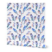 Birds in tints and shades of blue watercolor 