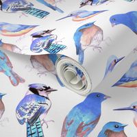 Birds in tints and shades of blue watercolor 