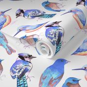 Birds in tints and shades of blue watercolor 