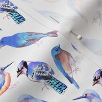 Birds in tints and shades of blue watercolor 