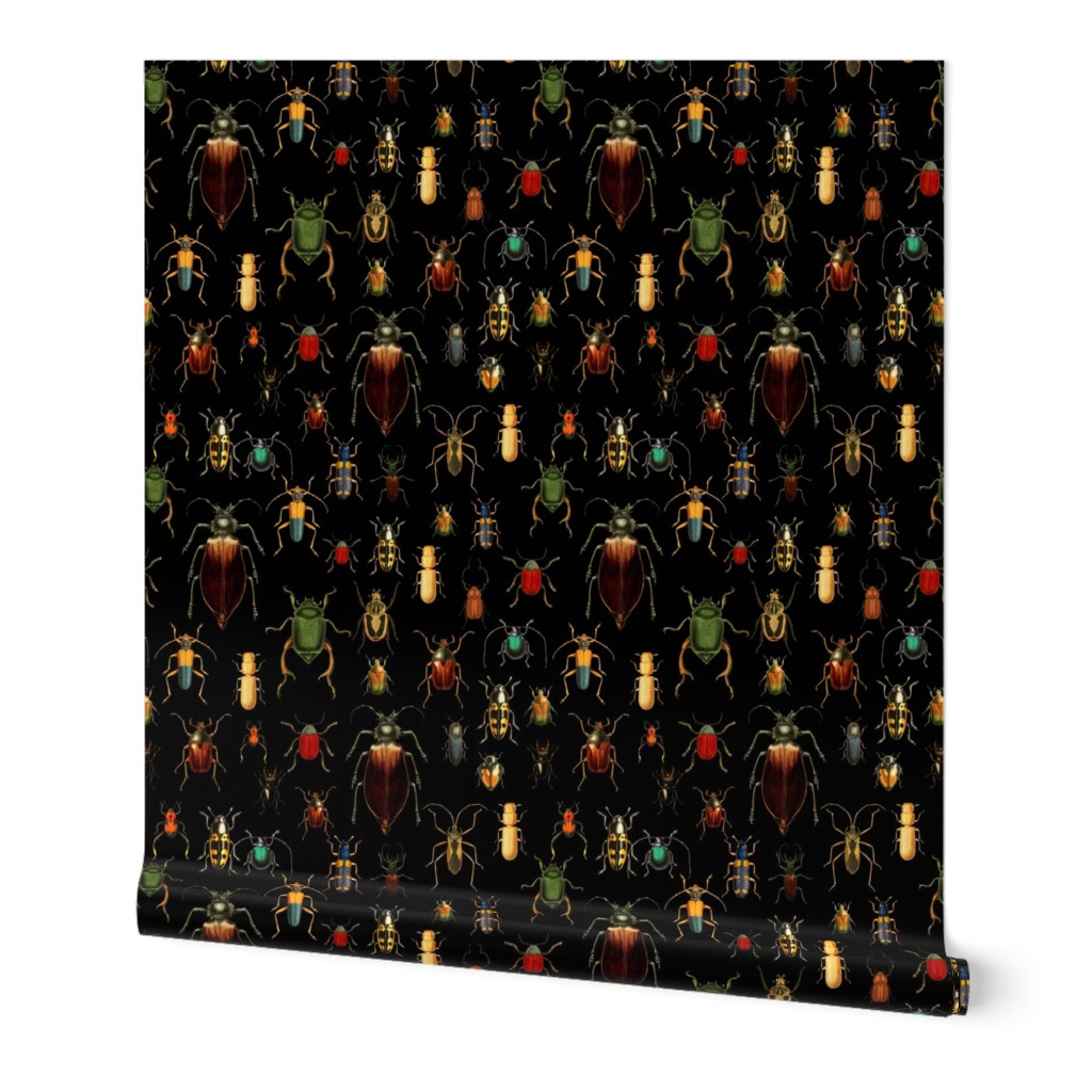 10" Vintage dark academia Beetles and Bugs on Black, nostalgic  home decor, antique wallpaper,