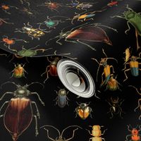 10" Vintage dark academia Beetles and Bugs on Black, nostalgic  home decor, antique wallpaper,