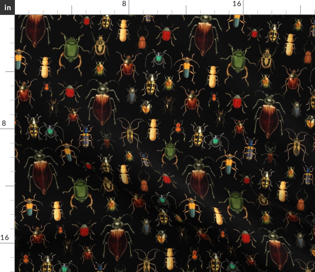 10" Vintage dark academia Beetles and Bugs on Black, nostalgic  home decor, antique wallpaper,