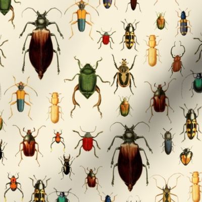 10" Vintage Beetles and Bugs on beige cream