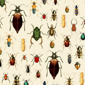 10" Vintage Beetles and Bugs on beige cream
