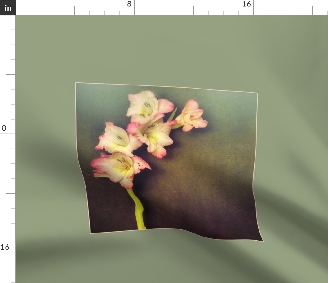 Gladiolus Pillow Panels Matching