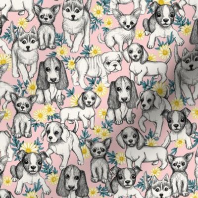 Dogs and Daisies on Millenial Pink