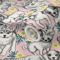 Dogs and Daisies on Millenial Pink