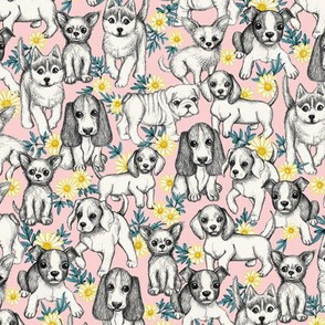 Dogs and Daisies on Millenial Pink