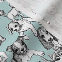 All the Little Puppies - pencil sketch puppies on light blue