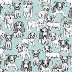 All the Little Puppies - pencil sketch puppies on light blue