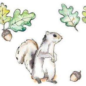 squirrel and acorns