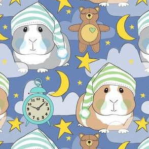 bedtime boy guinea pigs