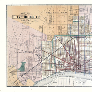 14-8    1893 Map of the City of Detroit