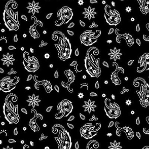 Western Paisley reduced - solid black