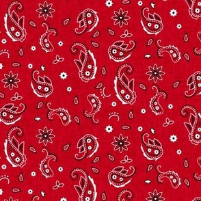 Western Paisley reduced - cc0022