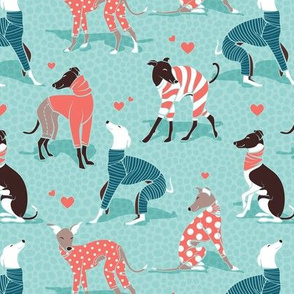 Small scale // In love greyhounds // aqua background turquoise and coral dog pyjamas 