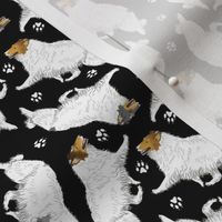 Tiny Trotting Color head white rough coated Collies and paw prints - black