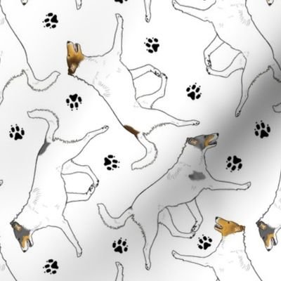 Trotting Color head white smooth coated Collies and paw prints - white