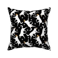 Trotting Color head white smooth coated Collies and paw prints - black