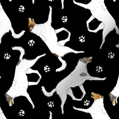 Trotting Color head white smooth coated Collies and paw prints - black