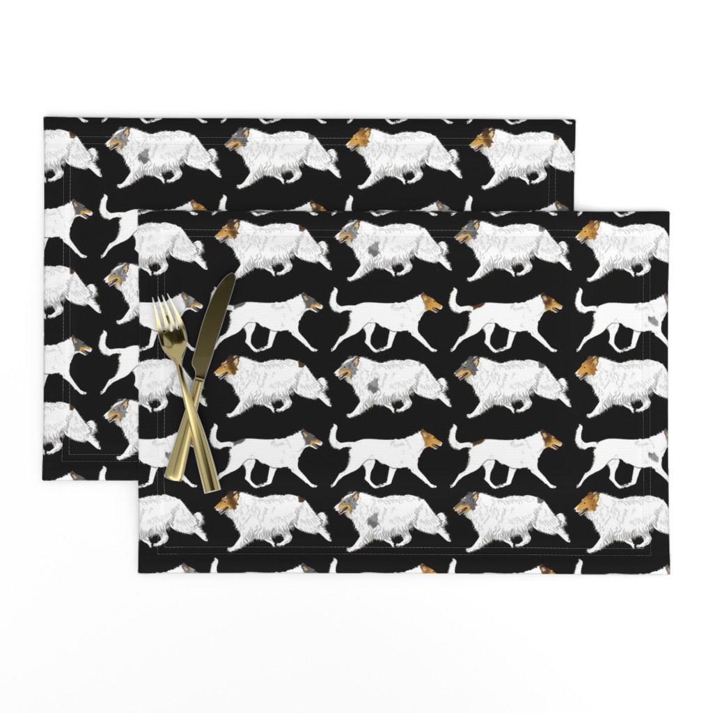 Trotting rough & smooth Color head white Collies border - black