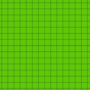 Tangy Citrus Grid of Lime Shadows on Lime Juice