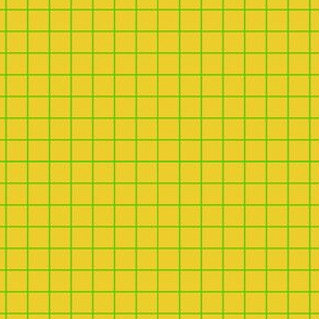 Tangy Citrus Grid of Lime Juice on Sunny Lemon