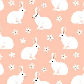 Rabbits on pink