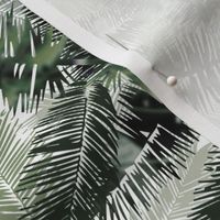 Coconut Palm Leaves Small Scale - Dark Greens 