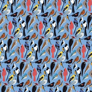 North American Birds - Paisley