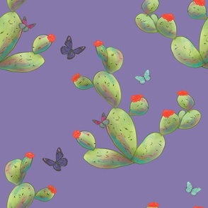 prickly pear and butterfies on lavender