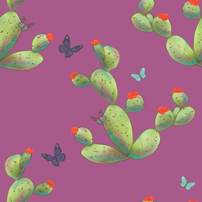 prickly Pear and buttertflies on pink