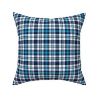 Blue Silver and White Plaid 