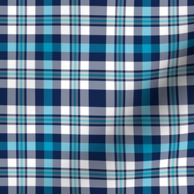 Blue Silver and White Plaid 