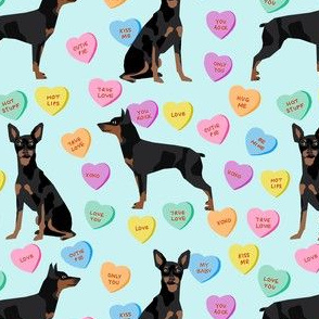 min pin candy hearts fabric - love fabric, dog fabric, min pin fabric, candy hearts fabric - blue