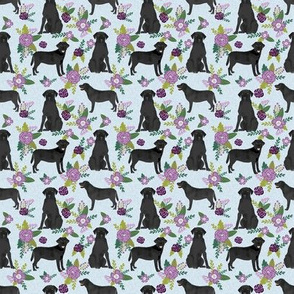 SMALL - black labrador coordinate pet quilt c dog breed floral labradors fabric