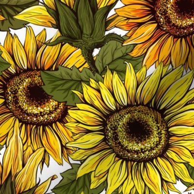 Sunflowers field seamless vector 