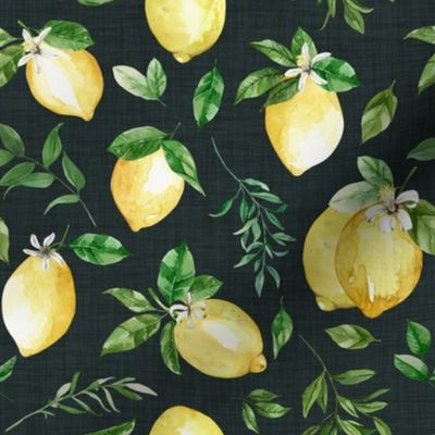 Fresh Lemons // Navy Linen