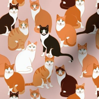 Ginger Cats Crowd on pink