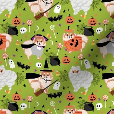 pomeranian halloween fabric - dog halloween fabric, dog costume halloween  - cute pom fabric -lime