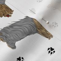 Trotting Yorkshire Terriers and paw prints - white
