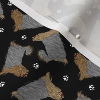 Tiny Trotting undocked Yorkshire Terriers and paw prints - black