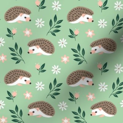Hedgehogs on a meadow
