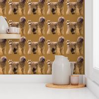 briard dog fabric