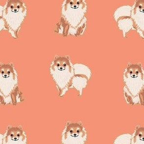 pomeranian dog fabric, pom dog fabric, pom dog, dog breed fabric dog  design - salmon