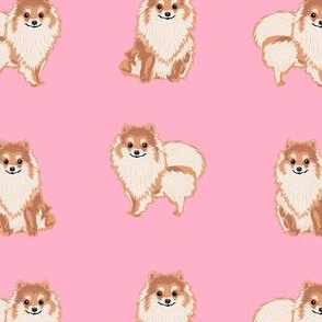pomeranian dog fabric, pom dog fabric, pom dog, dog breed fabric dog  design - pink