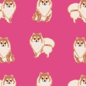 pomeranian dog fabric, pom dog fabric, pom dog, dog breed fabric dog  design - bright pink