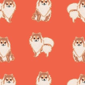 pomeranian dog fabric, pom dog fabric, pom dog, dog breed fabric dog  design - orange